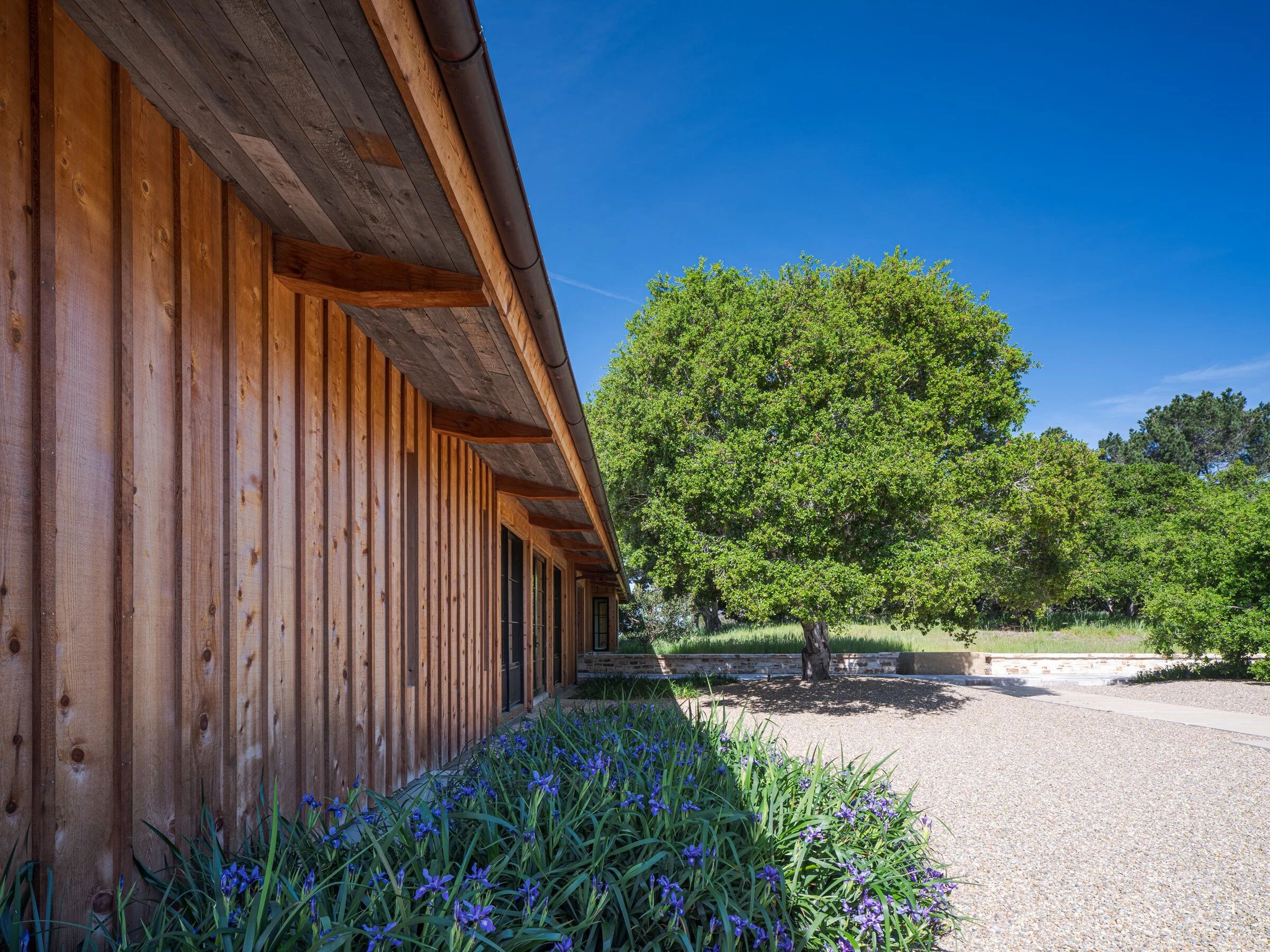 加州卡梅尔谷地零能耗现代别墅-15