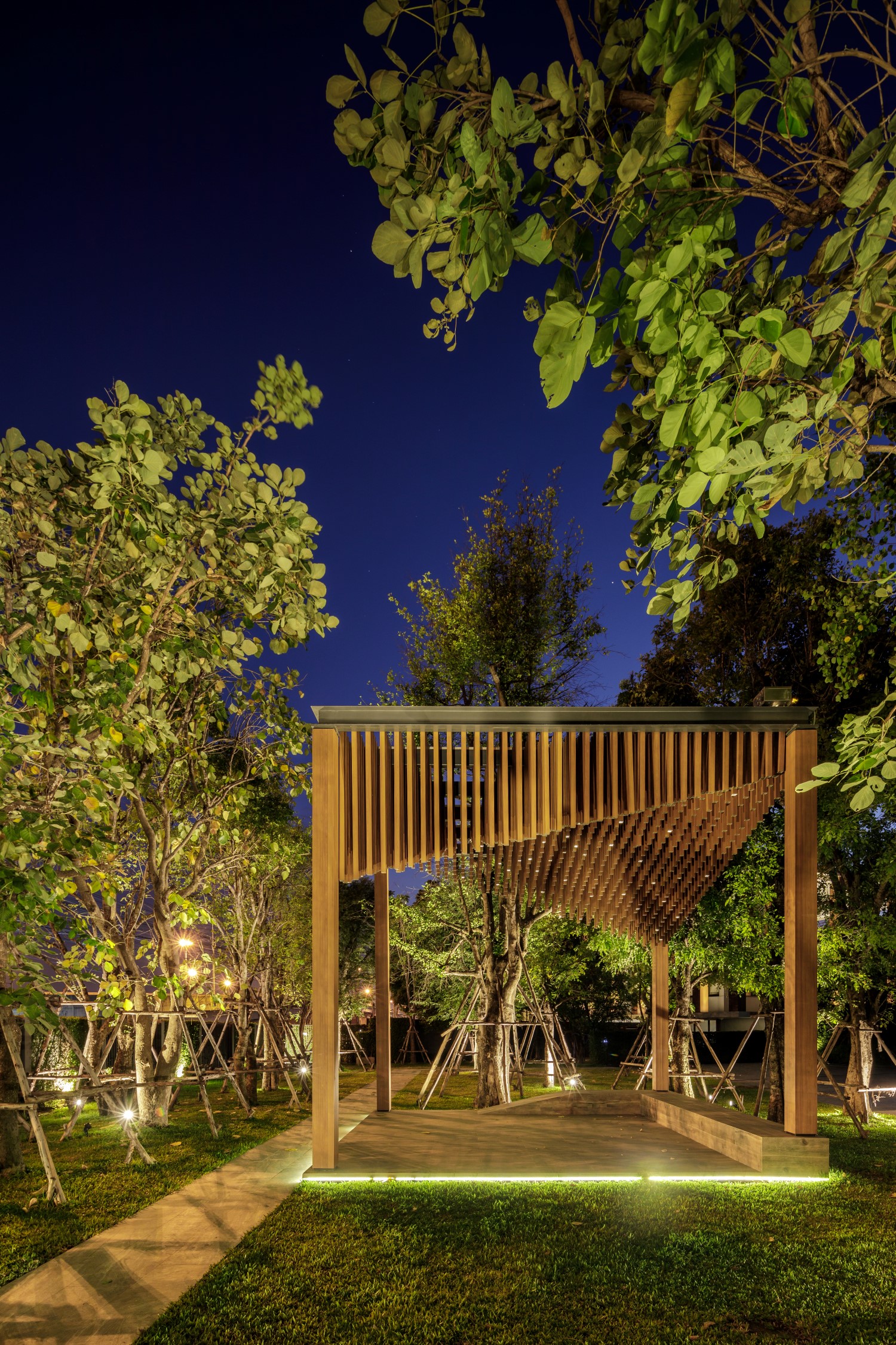 班·伊萨拉·邦纳-13