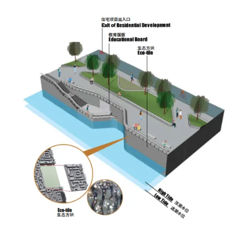 东涌东海滨·东涌新市镇扩展区的亲水和生态友善海滨项目丨中国香港丨AECOM-39
