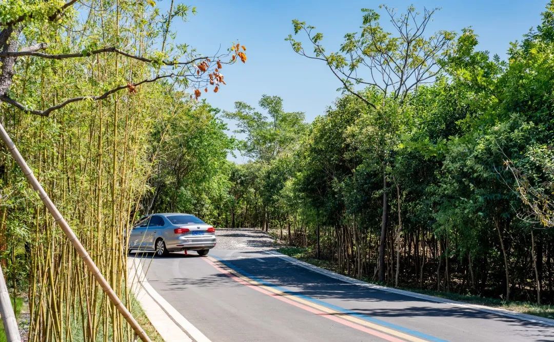 溧阳 1 号公路神女湖驿站丨中国江苏丨上海亦境建筑景观有限公司,上海交通大学设计学院风景园林研究所-47