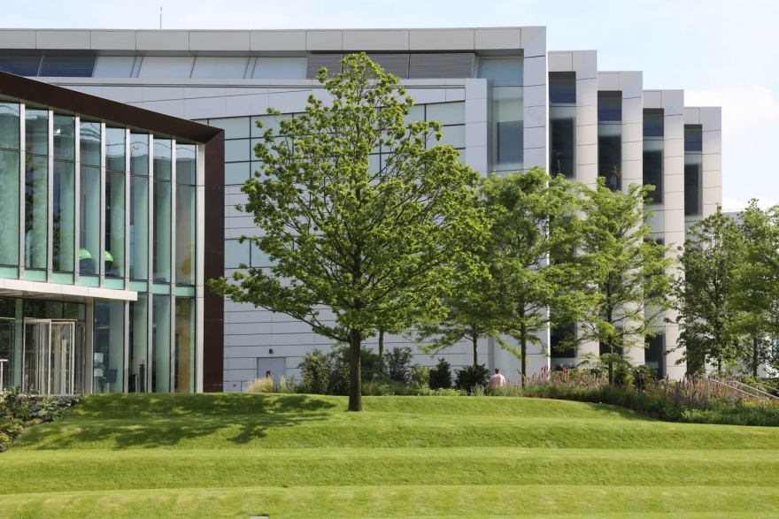 天空英国总部 | 绿色生态的办公环境-18