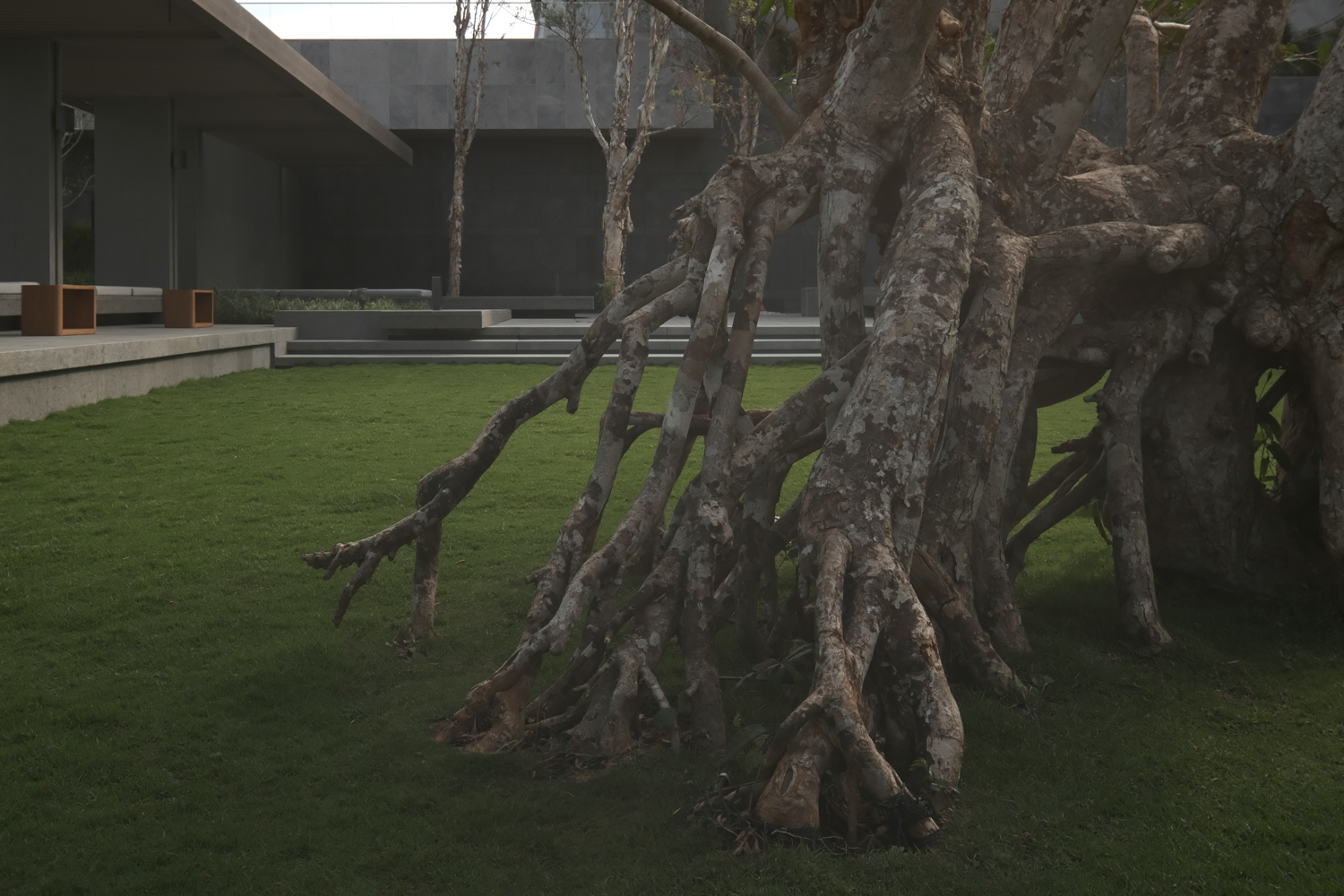 阿那亚三亚·山之境（西区）丨中国三亚丨JTL加特林,上海建言建筑设计等-36