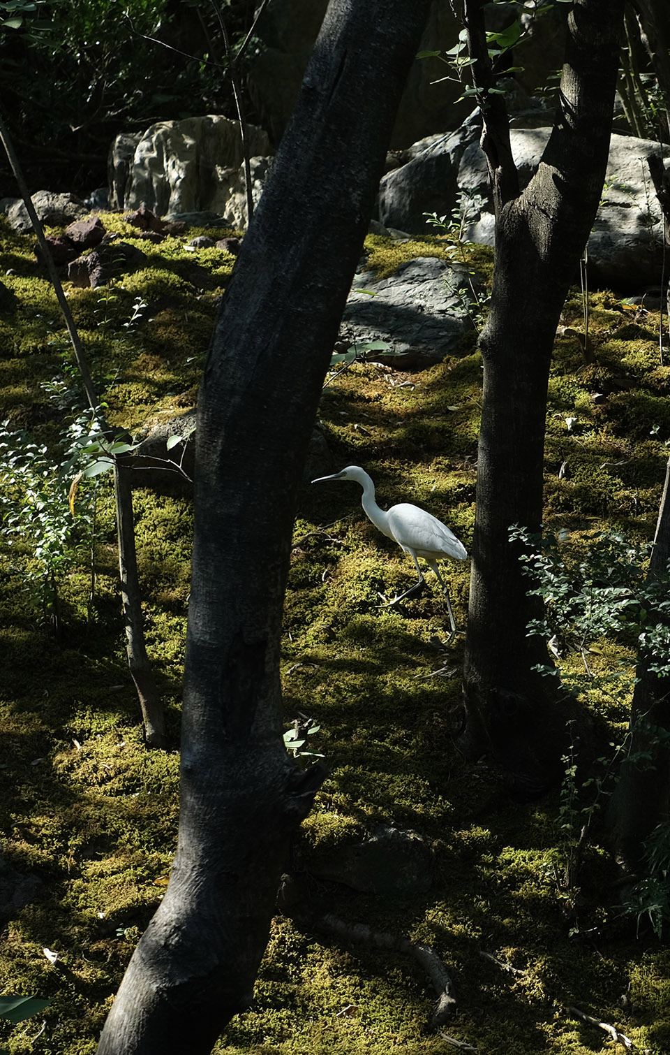 汖墟,杭州丨中国杭州丨山山园林-158