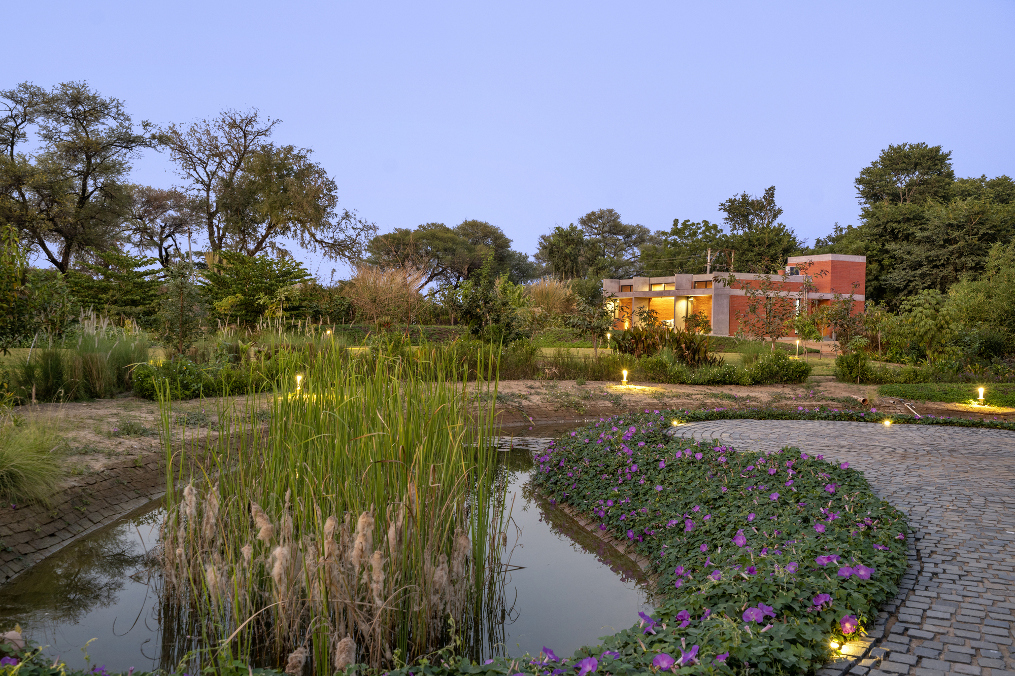 酷棚丨印度丨Vaissnavi Shukl-35