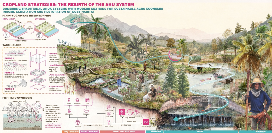 苏大风景园林研究生横扫2025ASLA三项大奖,6年11冠超越国际名校-141