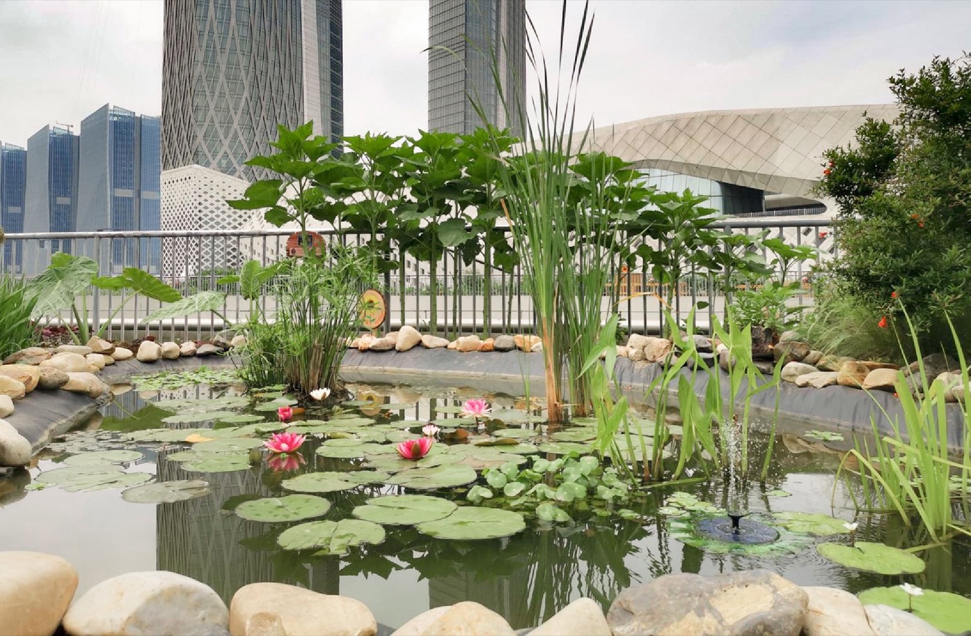 南京志远外语学校天空之园丨中国南京丨南京林业大学风景园林学院团队-13