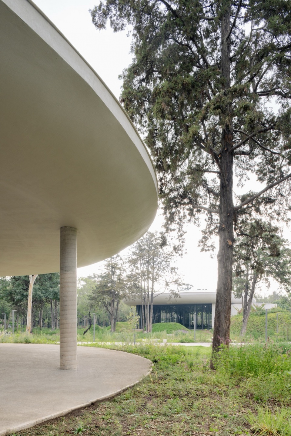 墨西哥风景花园丨墨西哥墨西哥城丨Michan Architecture等多家单位-37