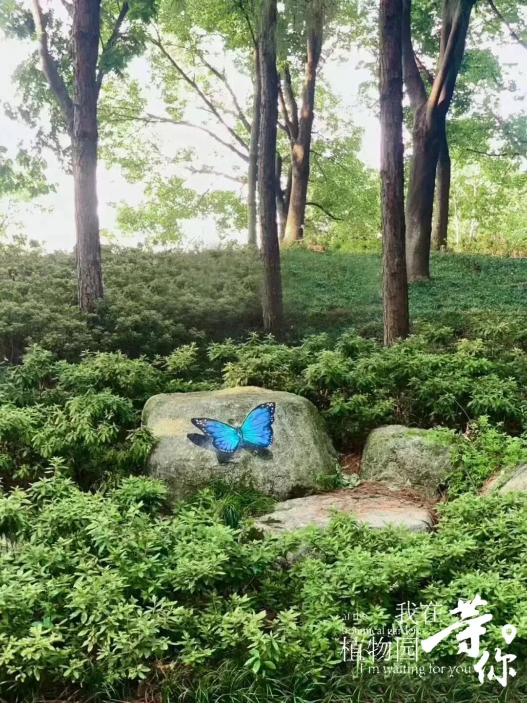 助力长三角生态绿色一体化发展|华建集团现代院原创设计嘉兴中央公园（嘉兴植物园）改造提升项目-35