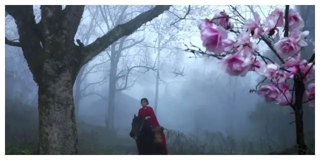 李子柒家居搭配揭秘 | 世外桃源的创意设计-75