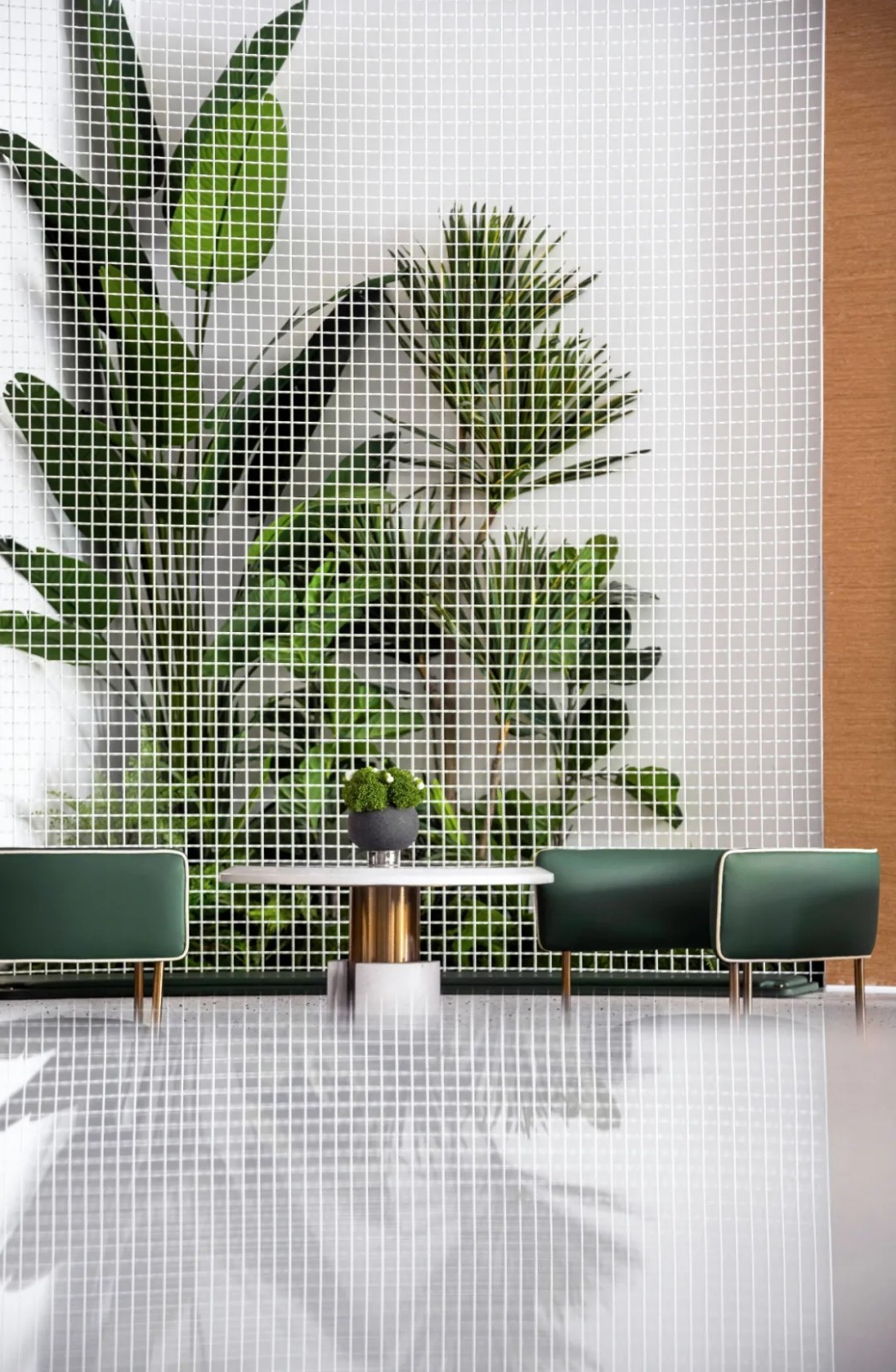 幻象森林,都市绿洲里的自然魅力-6