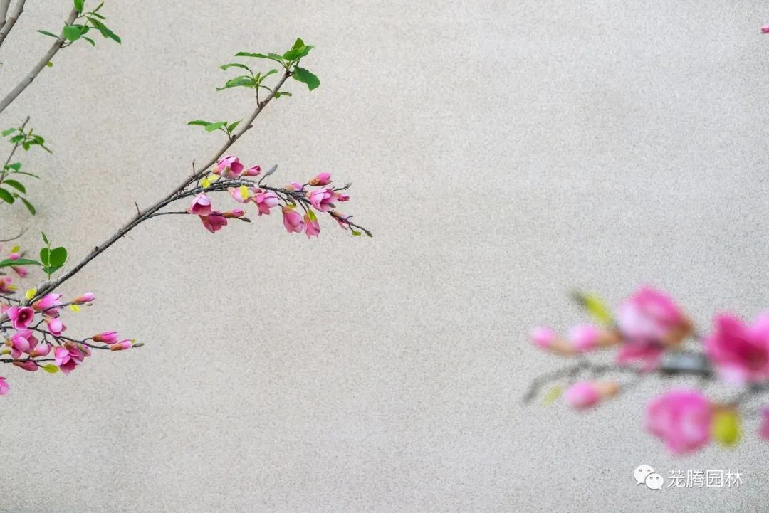 新余天麓玖号府(展示区)-77