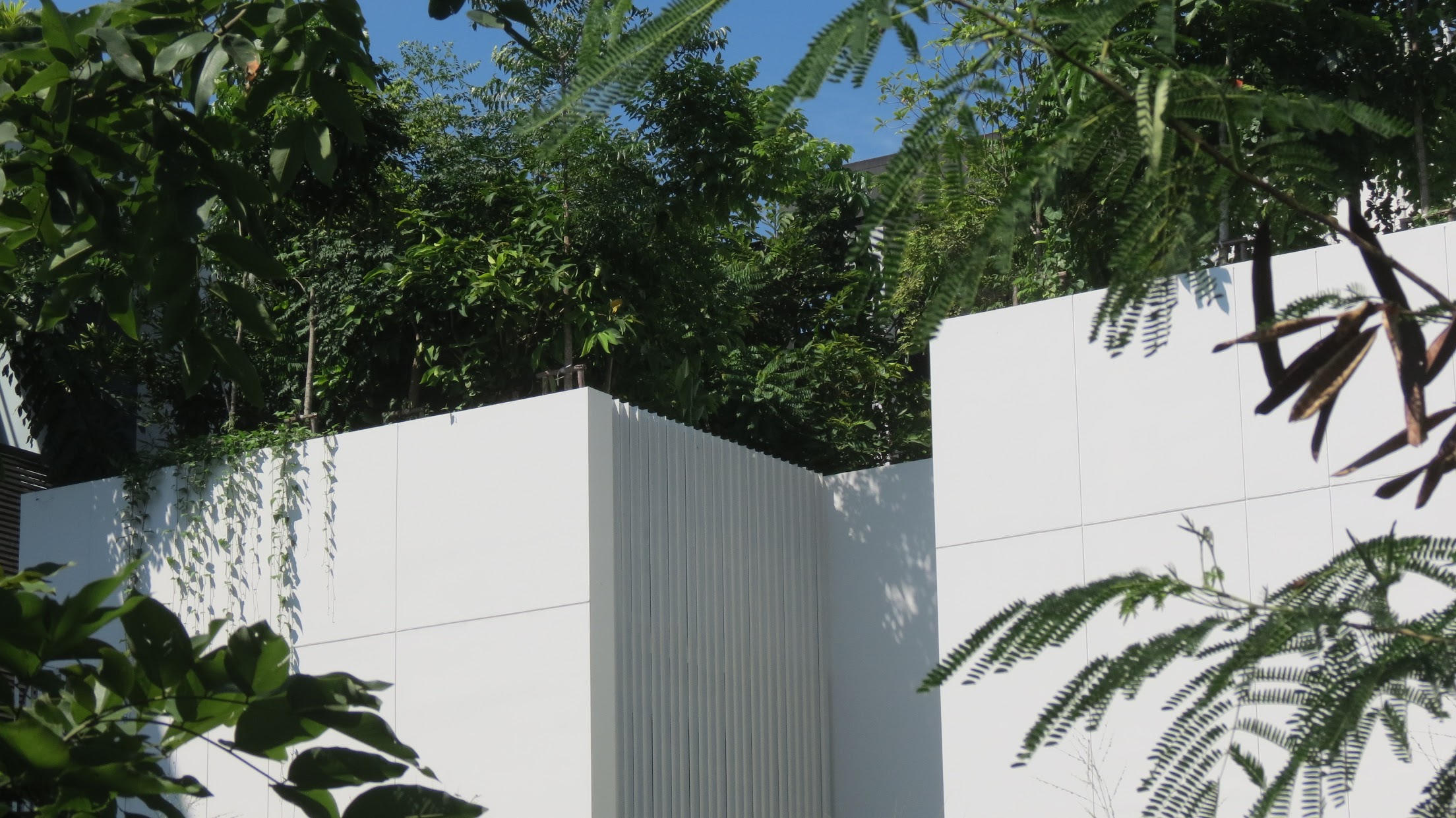 Forested House | Shma Company Limited-32