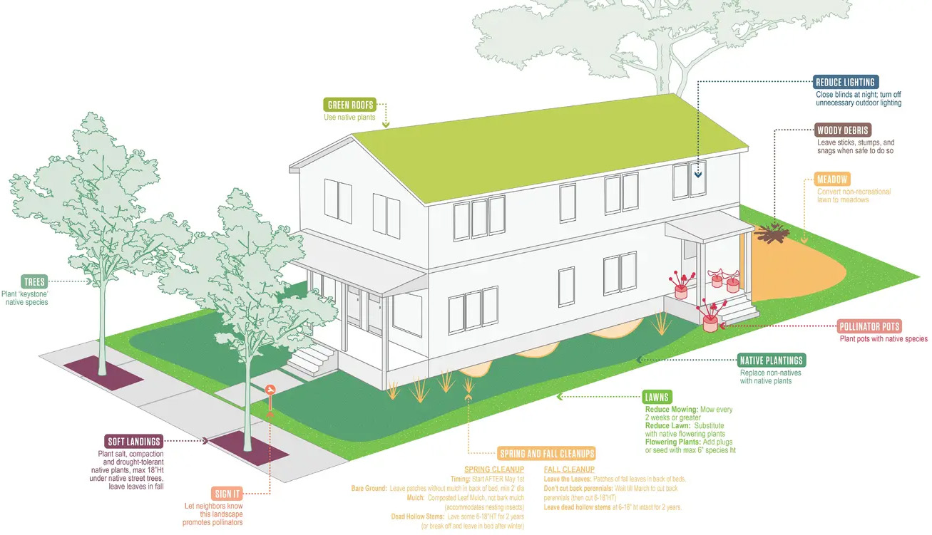 萨默维尔授粉昆虫行动计划丨美国丨Offshoots,Inc.-25