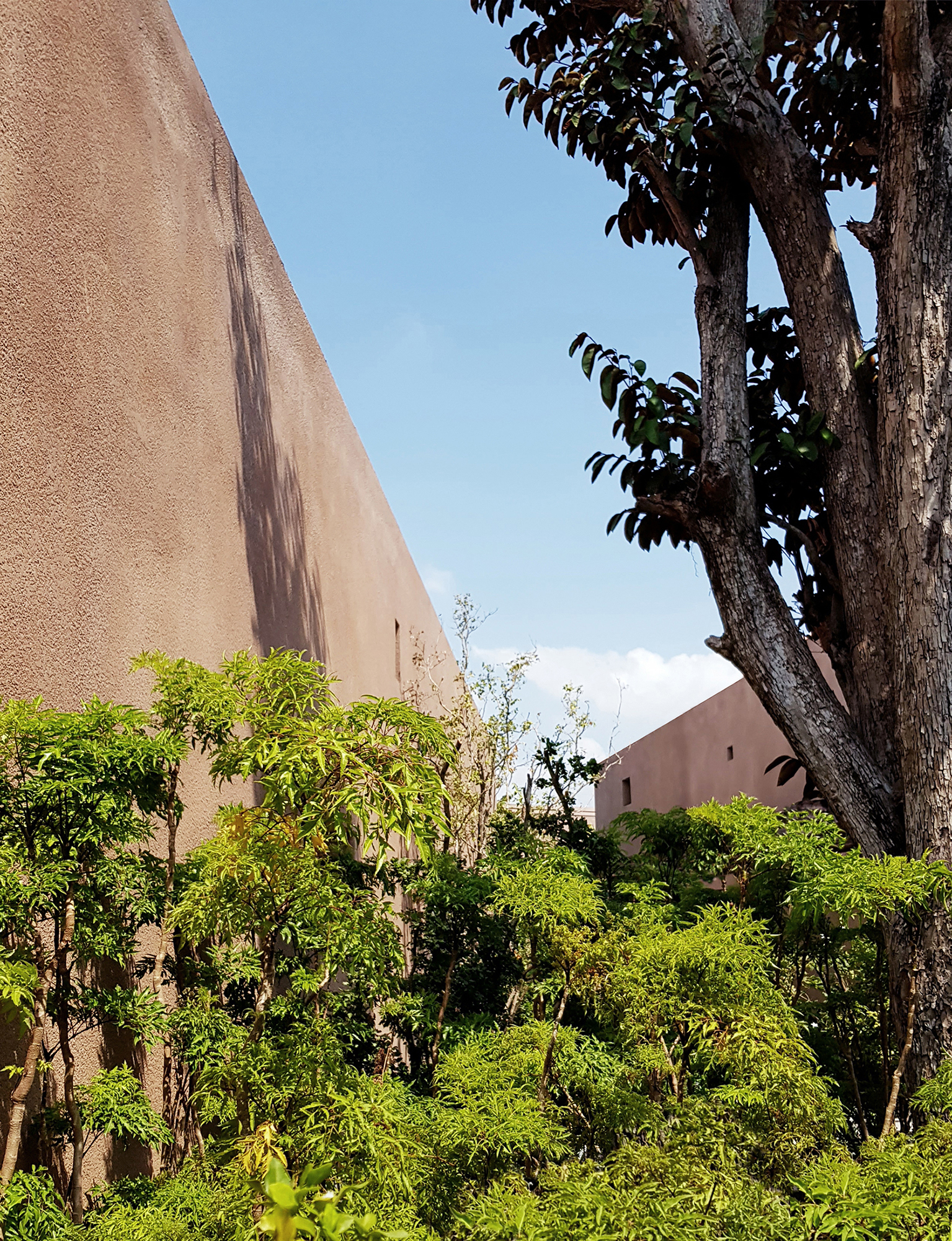 Vườn Phú Mỹ（Phú Mỹ Garden）,富美花园丨越南丨TAA DESIGN-17