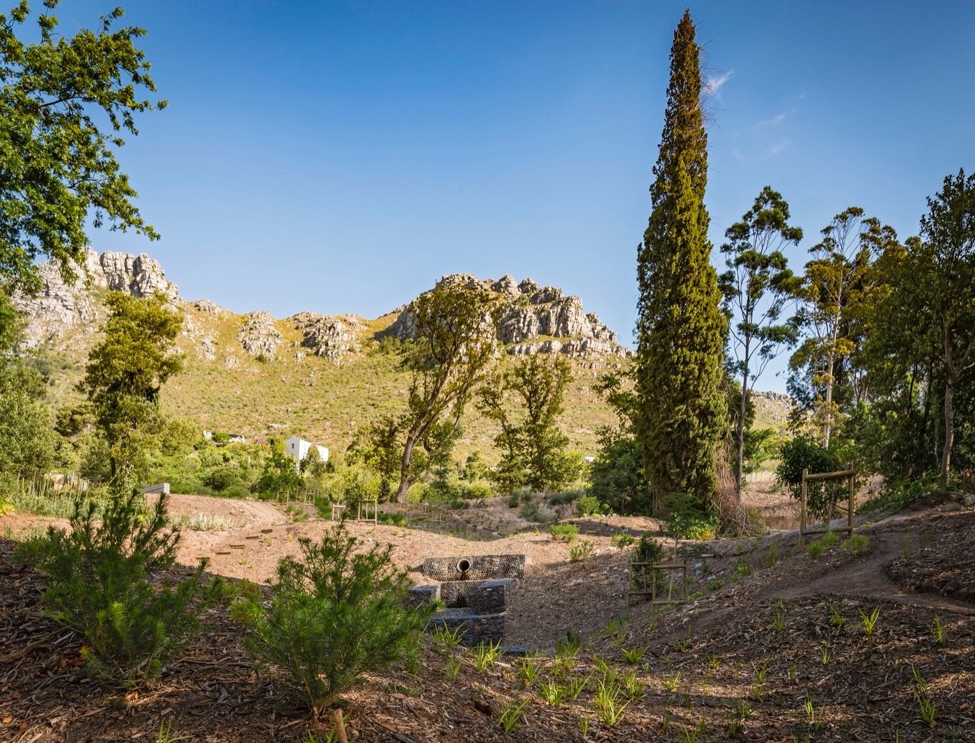 南非阿普尔加思庄园-6