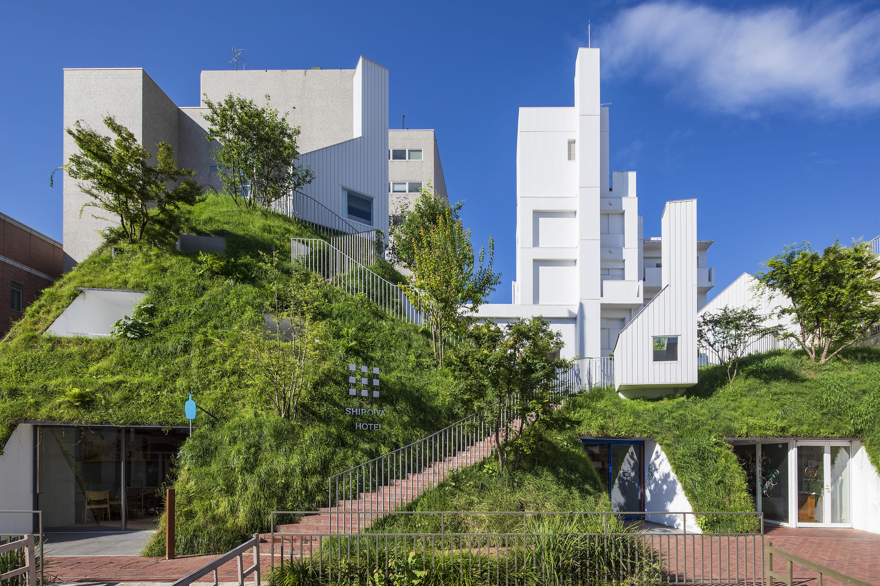 白井屋酒店（Shiroiya Hotel）丨日本群马丨藤本壮介及多位设计师,艺术家-13