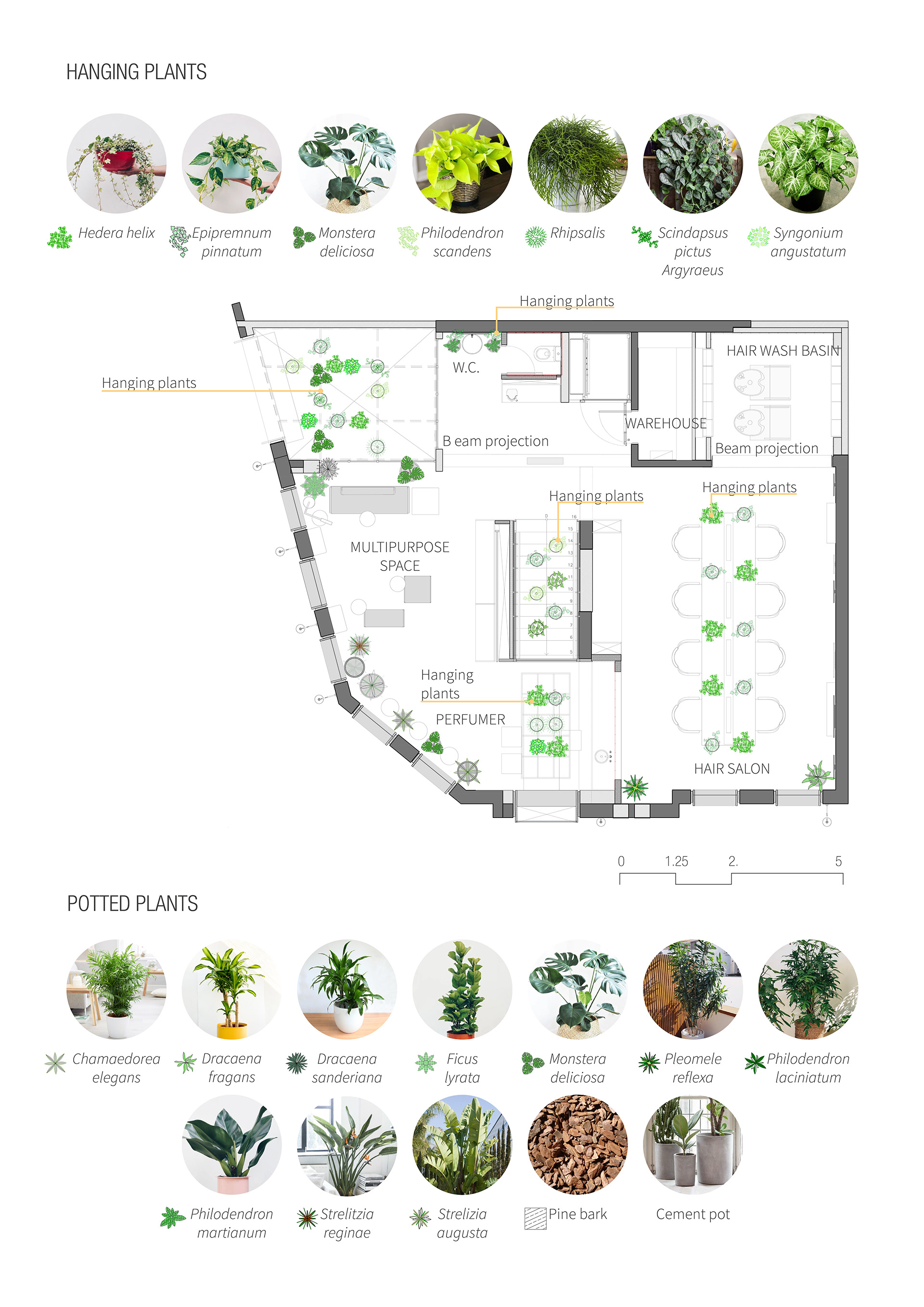 Boticário Lab 景观设计丨巴西圣保罗丨Teco Paisagismo-7