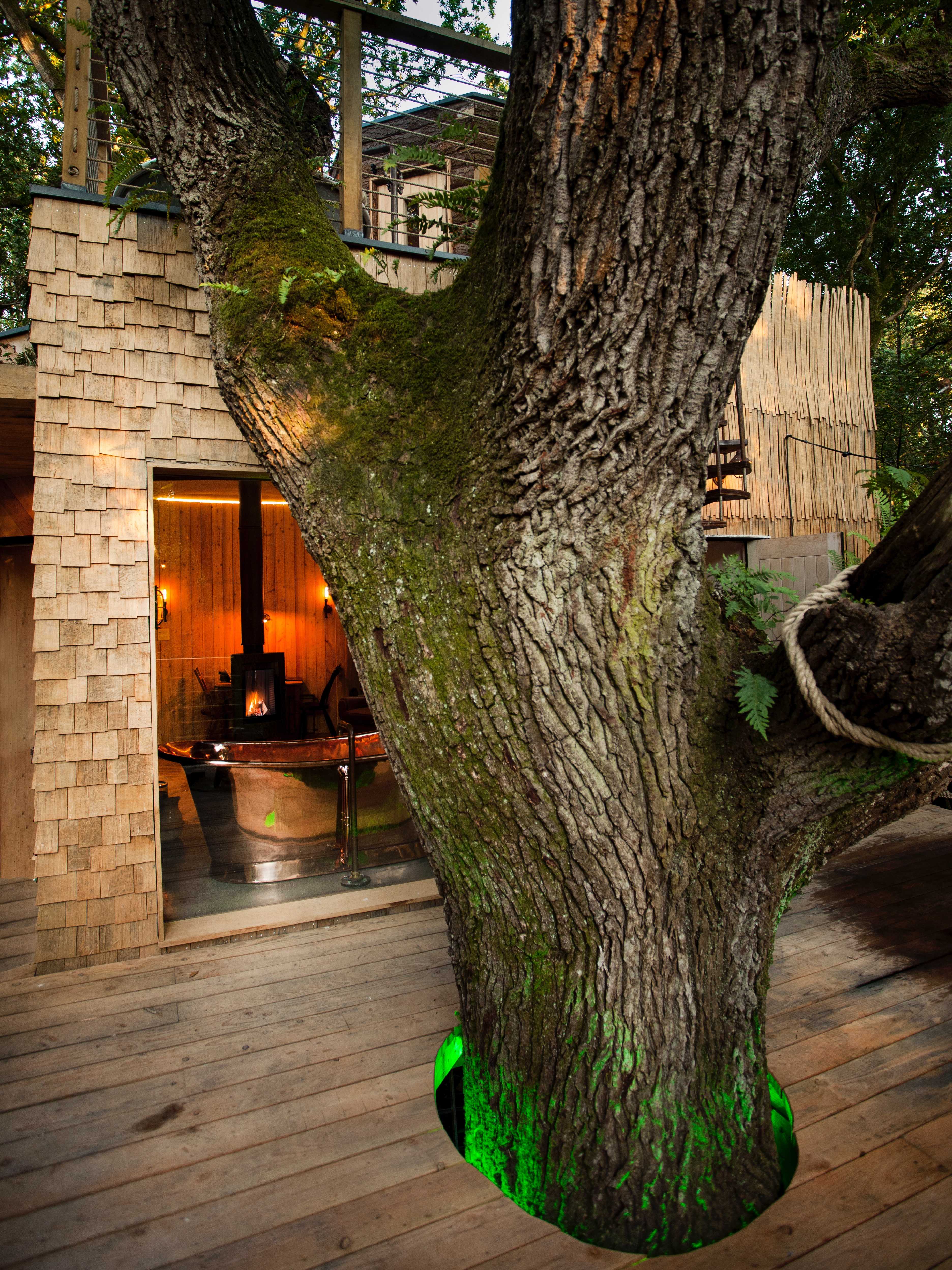 伍德曼的树屋-32