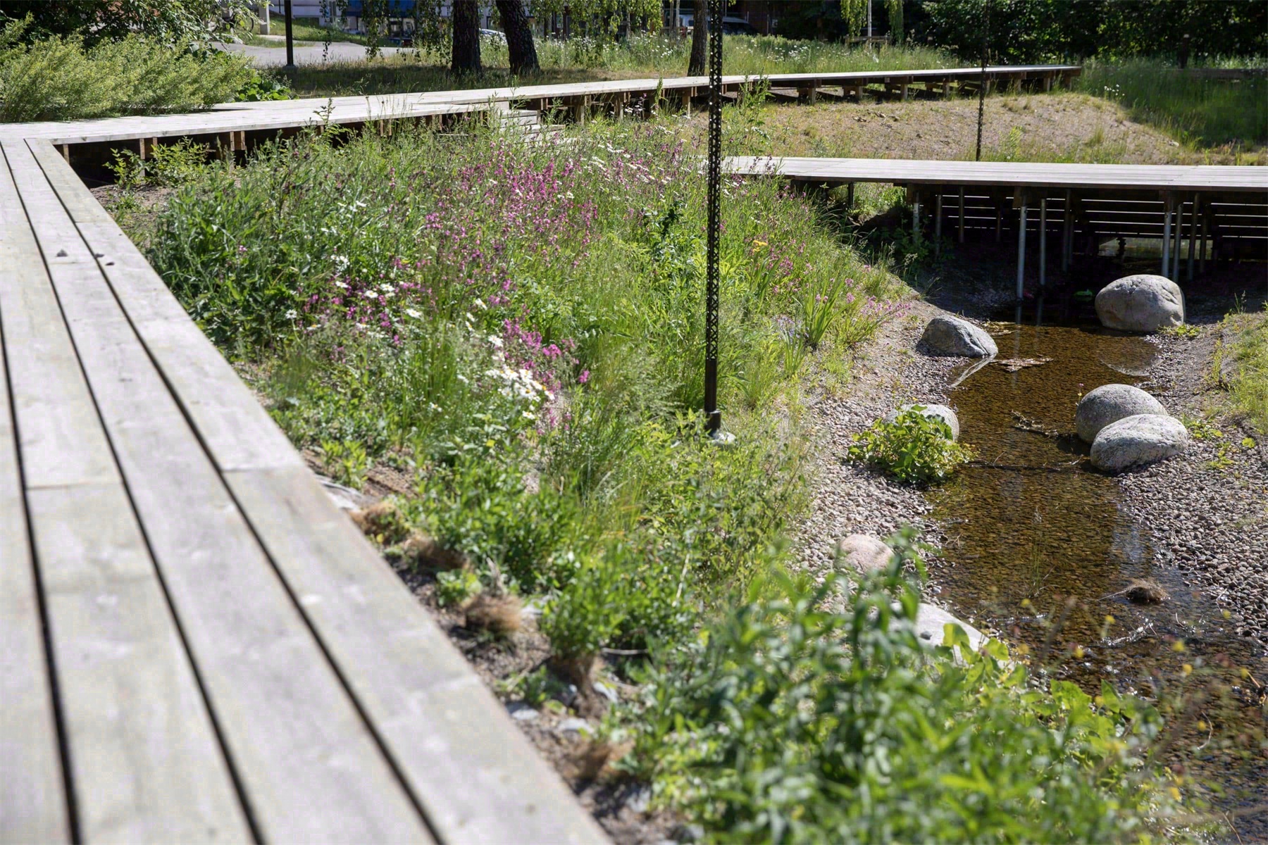 泪珠公园丨美国曼哈顿-60