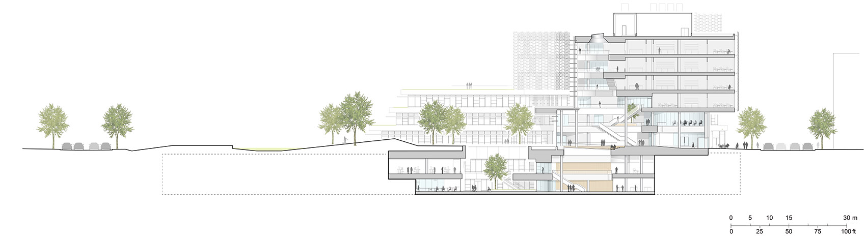 哈佛大学科学和工程综合楼丨美国丨Behnisch Architekten-96