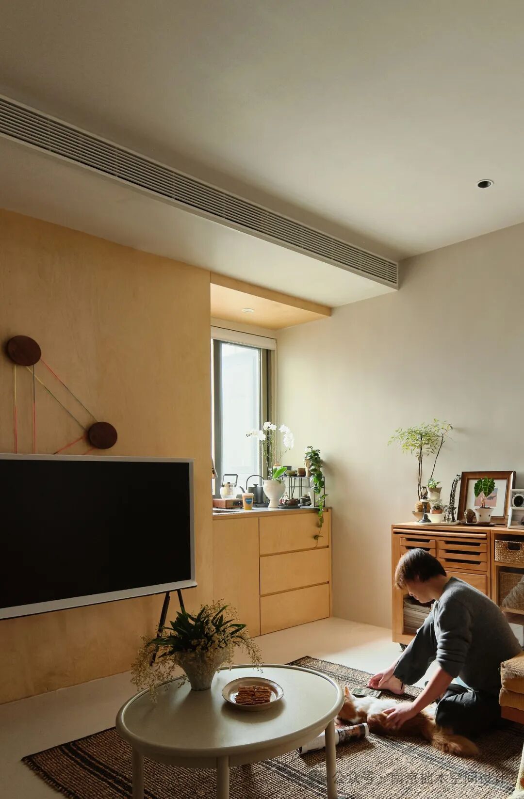 猫肥家润/南京拙木空间设计-14