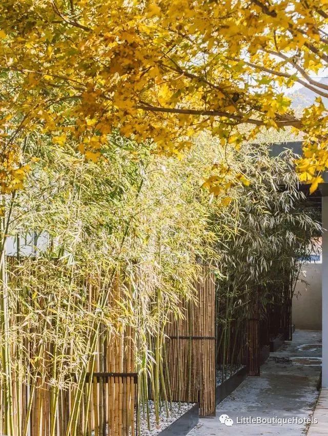 雾灵山阿那亚·隐庐山房-1