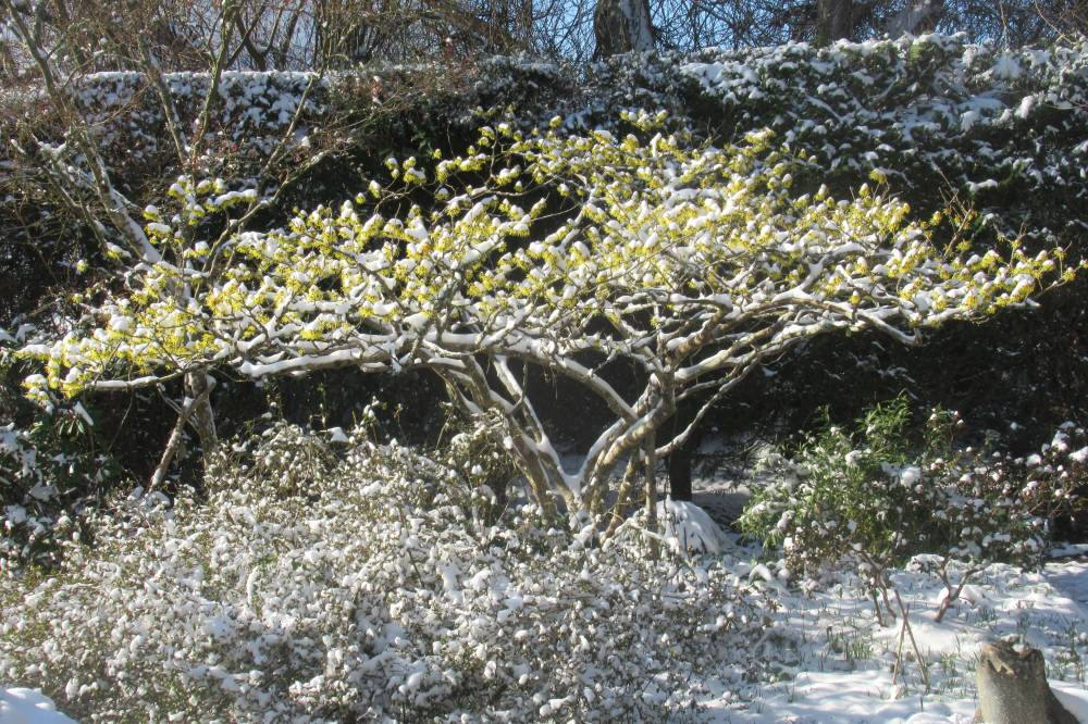 Jardin Botanique de La Petite Rochelle (61)-5