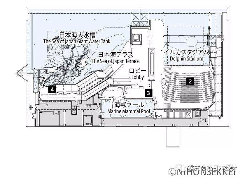 上越市立水族博物馆 | 沉浸式体验日本海的壮美海景-22