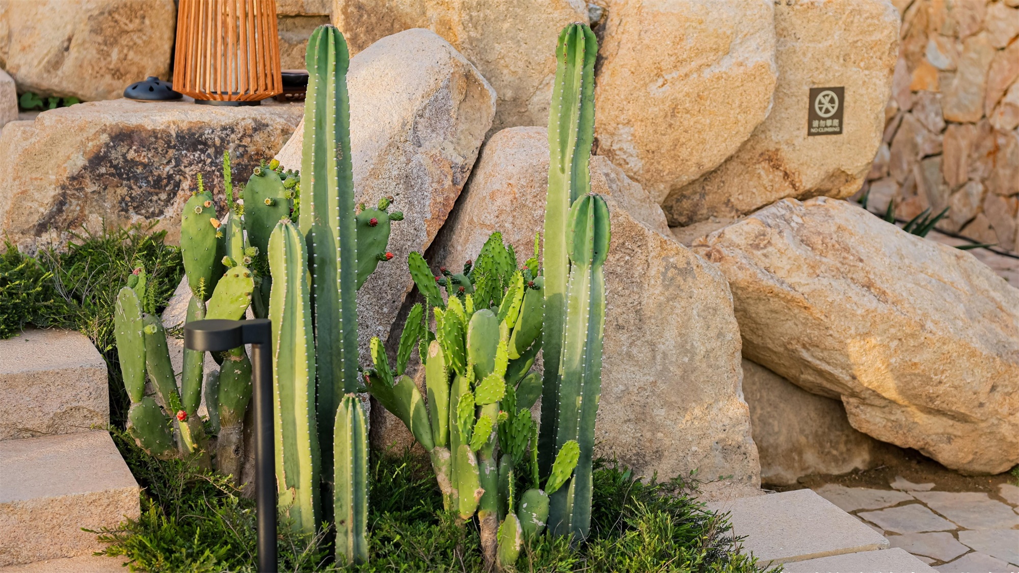 阿丽拉珠海东澳岛丨中国珠海丨ZNA|泽碧克建筑事务所-60