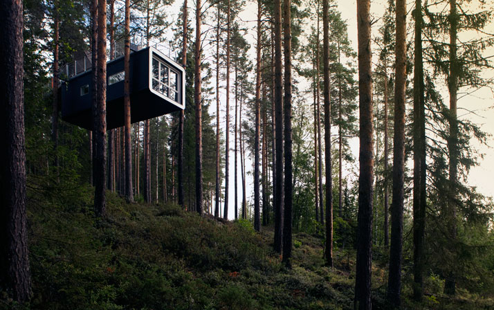 Treehotel...Sleep in Nature!-19