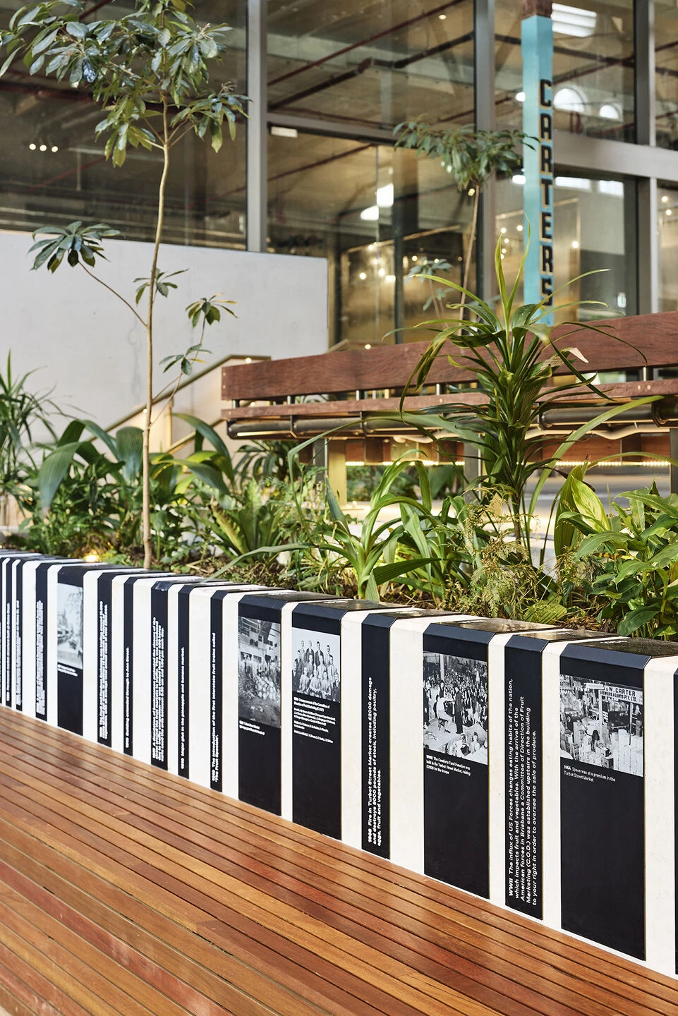 80 Ann Street 景观设计丨澳大利亚布里斯班丨ASPECT Studios-25