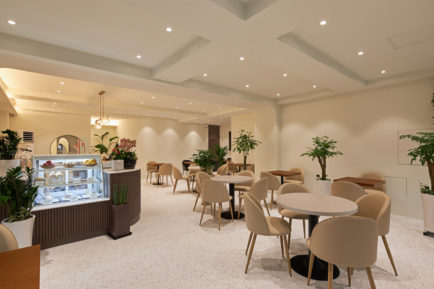 白色与木色交融，34 平米咖啡厅的极简设计魅力-3