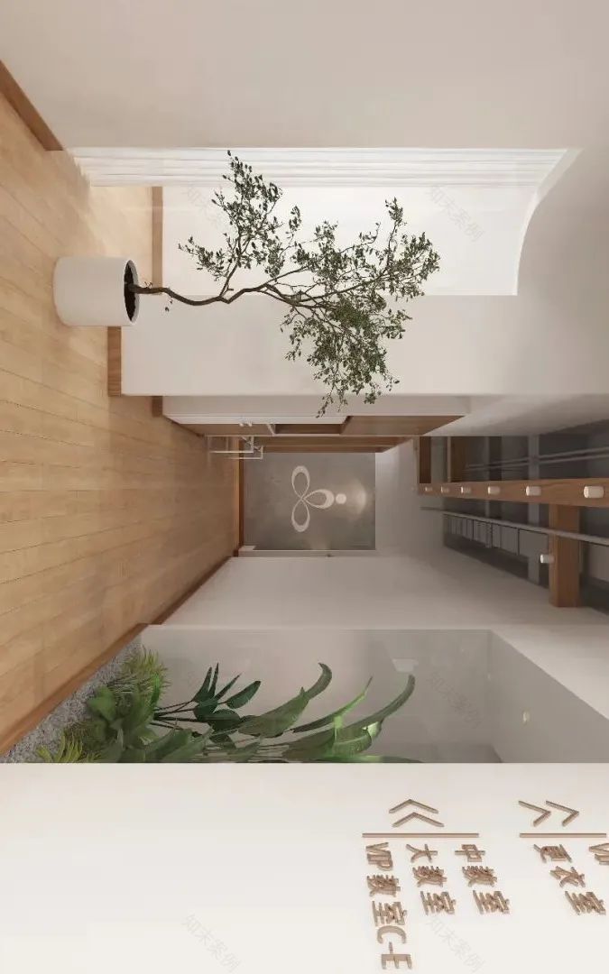 苏州自在瑜伽空间设计 | 极简与互动的完美结合-20