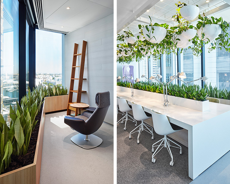 悉尼国际塔楼丨澳大利亚悉尼丨ASPECT | OCULUS-9