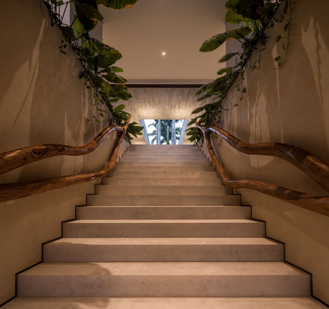 巴西丛林中的 01 TVN House-33