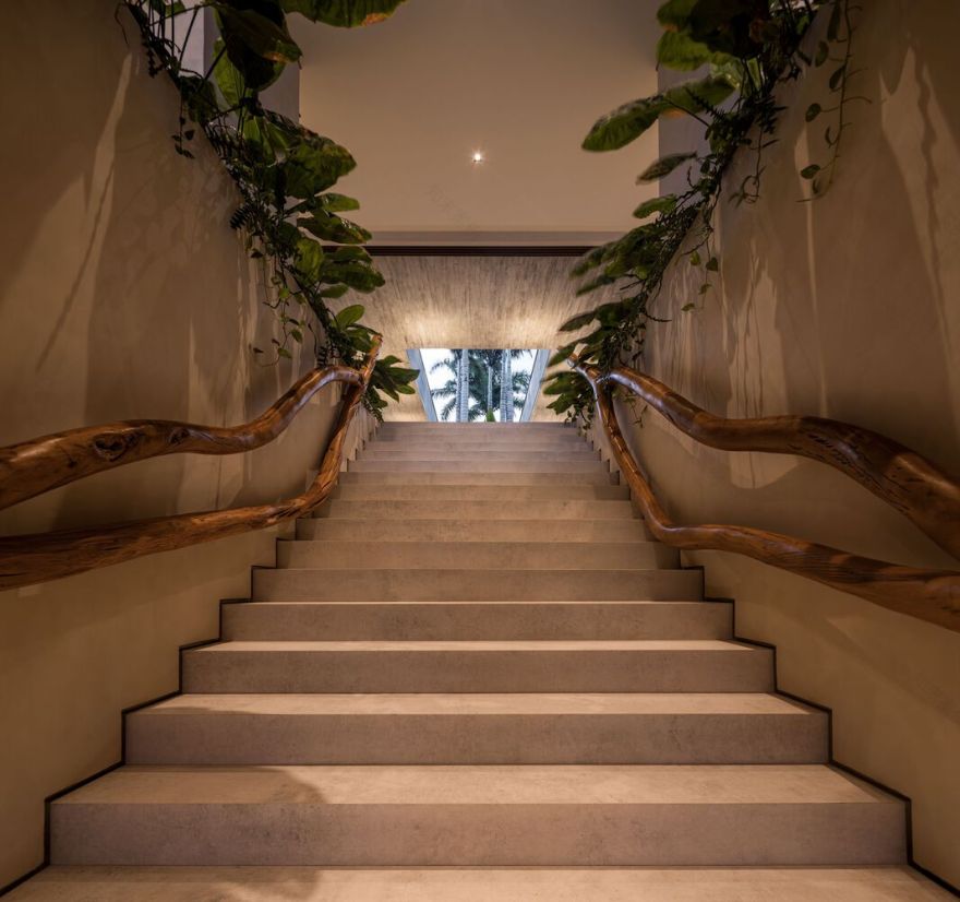 巴西丛林中的 01 TVN House-33