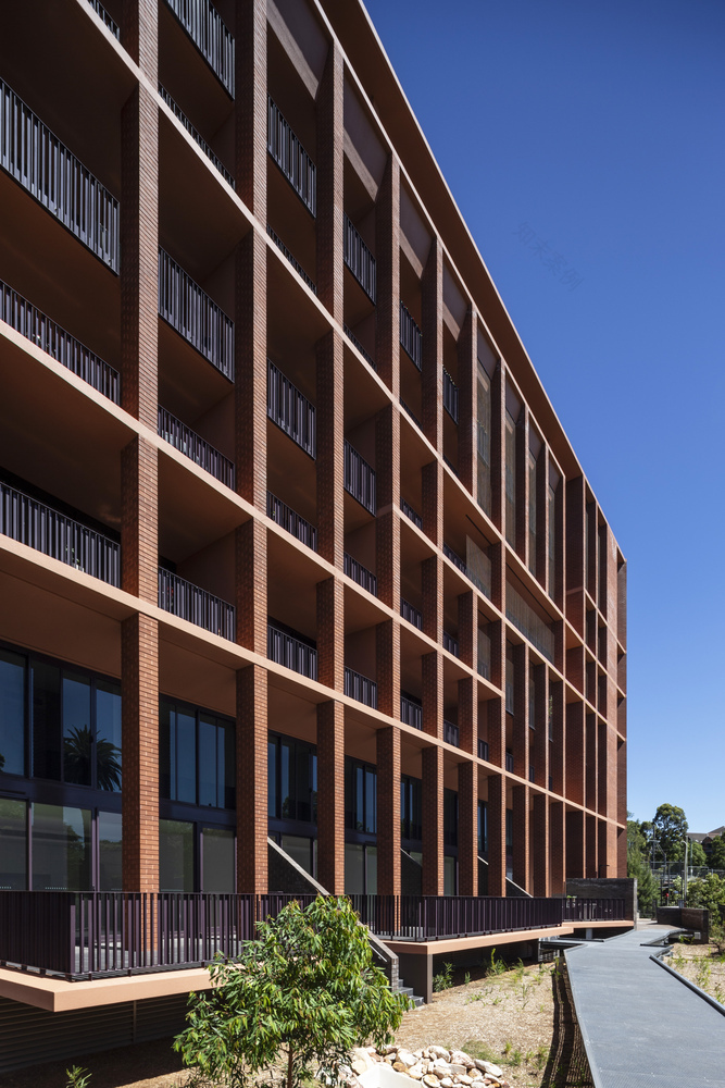 阿灵顿格罗夫-34