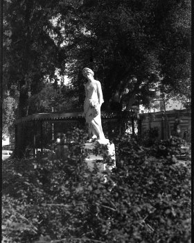 AGFA APX