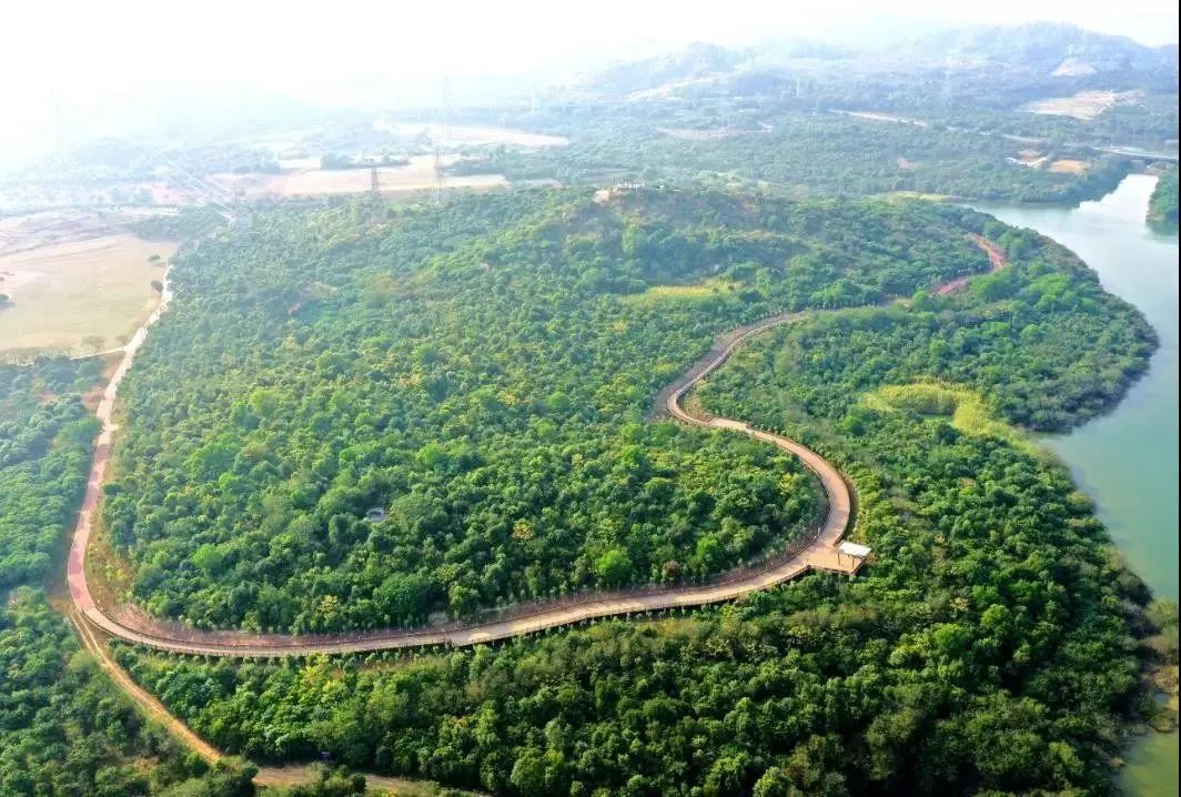 深圳石岩环湖碧道 | 科技绿谷、生态画廊-11