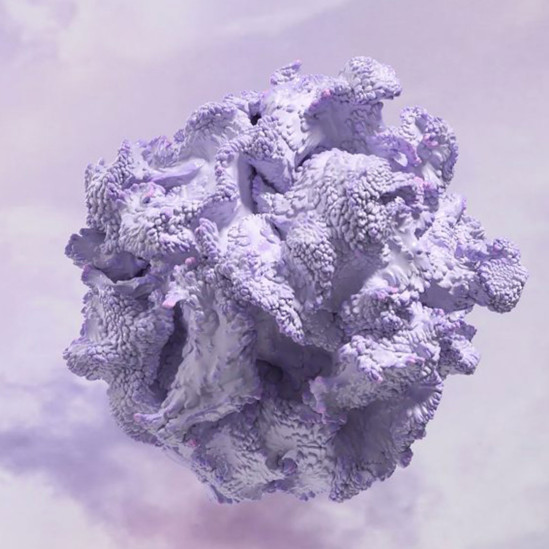 цвет года-14