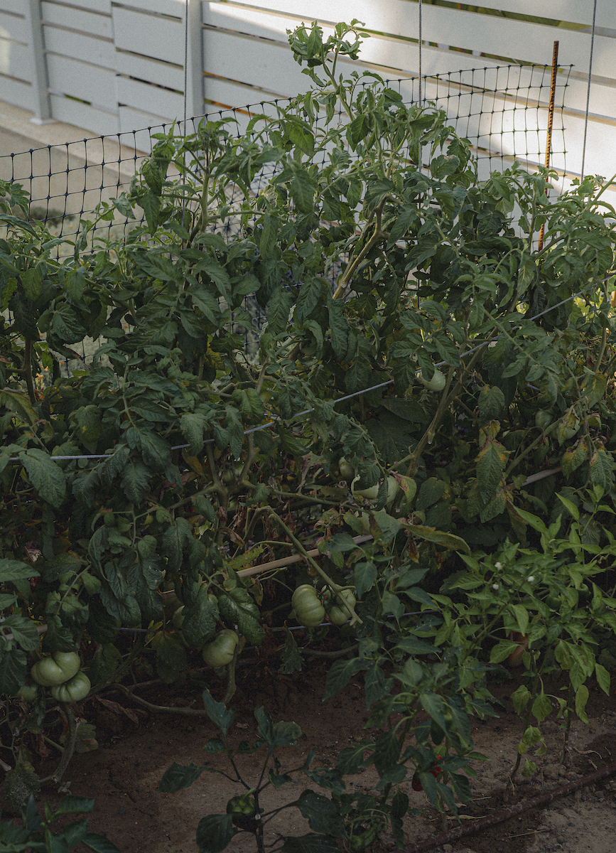 阿尔贾娜丨西班牙丨Chiralt Arquitectos Valencia-23