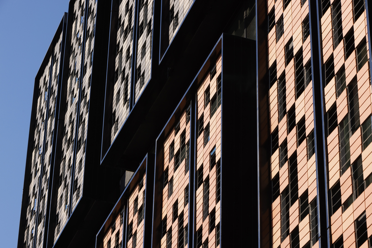 墨尔本 151 Toorak Road 商业和办公楼丨澳大利亚墨尔本丨Bird de la Coeur Architects-16