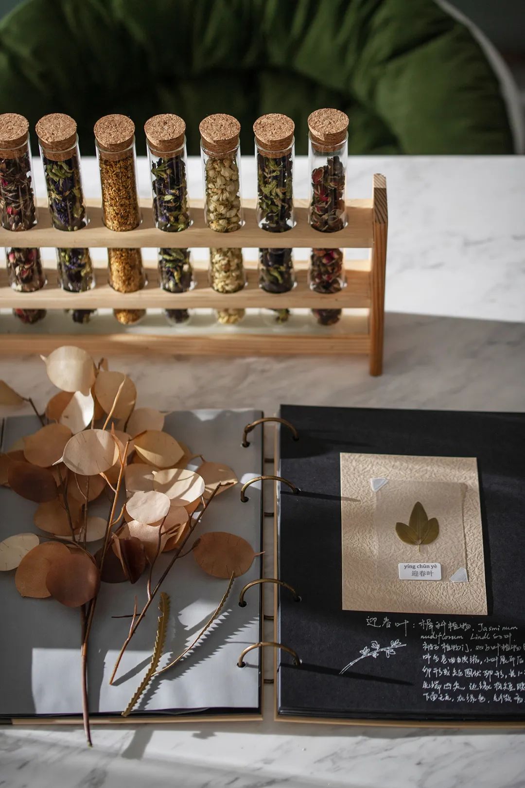 长春中海锦城牛油果绿美宅,轻奢浪漫生活空间-35