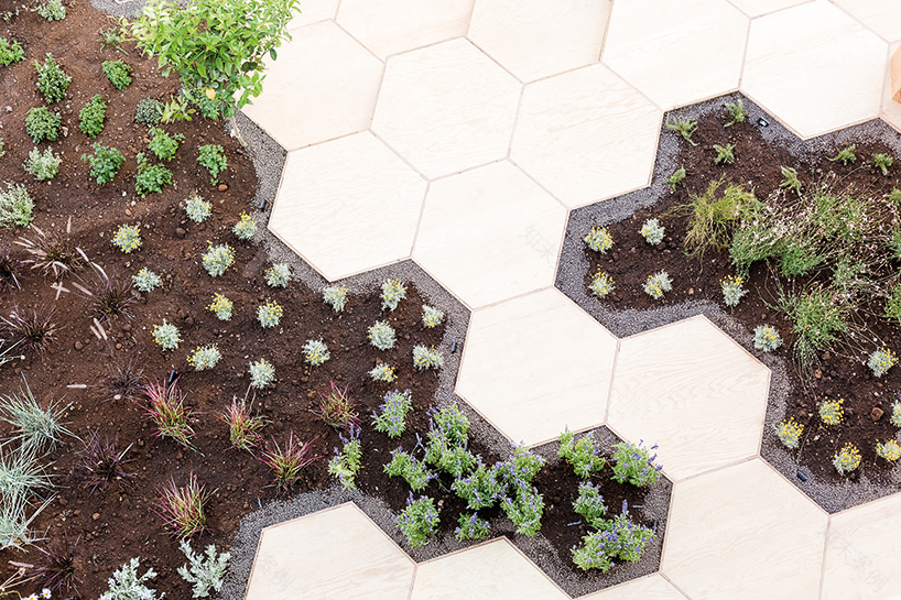 Zighizaghi 广场改造为特色城市花园丨意大利-13