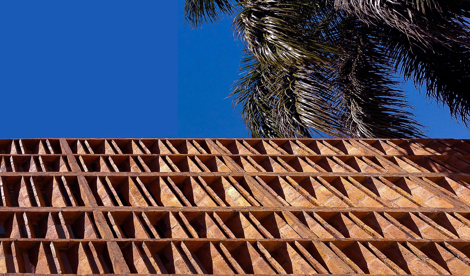 巴拉圭混血儿空间 · Memoir Medical Clinic Estudio ELGUE-38