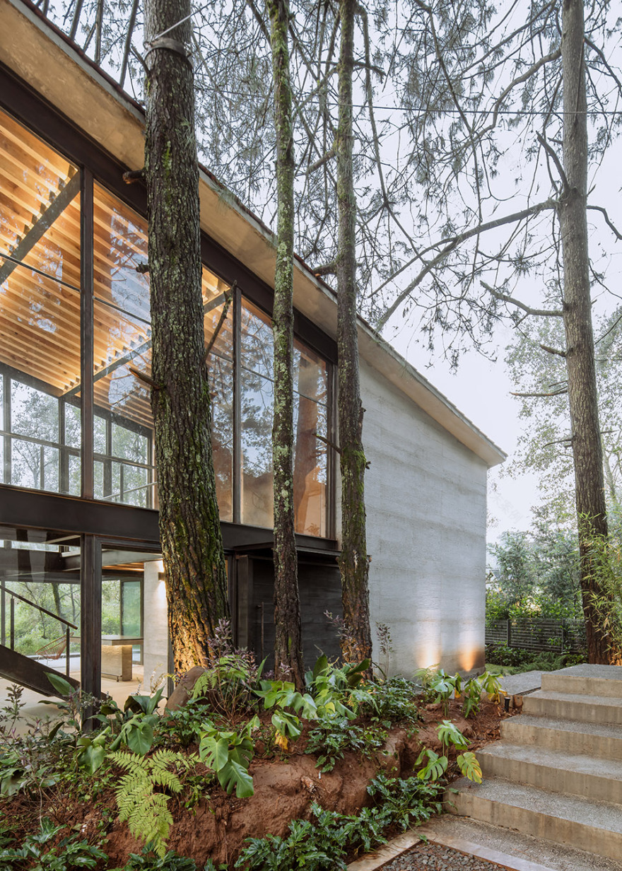 高树之家丨墨西哥丨1i Arquitectura-61