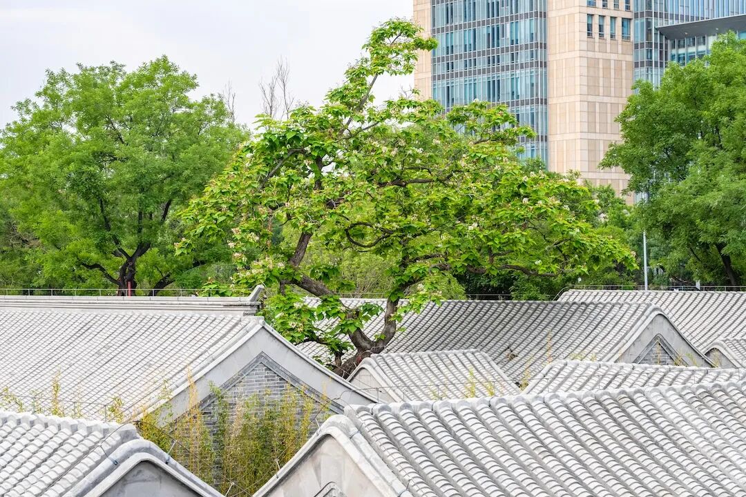 《新闻联播》再度点赞中海！-36