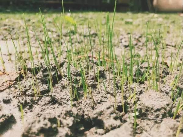 3个85后租下荒废院落，爆改成无数人的理想居所，仅花3万！-56