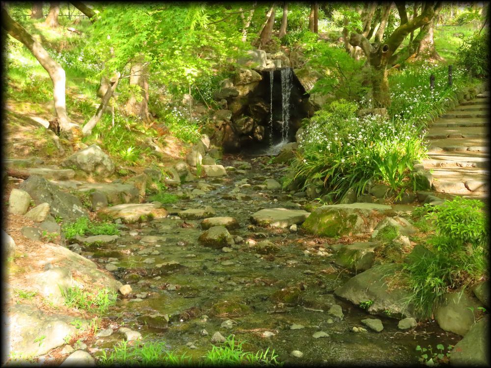 円山公園丨日本京都丨七代目小川治兵衛-18