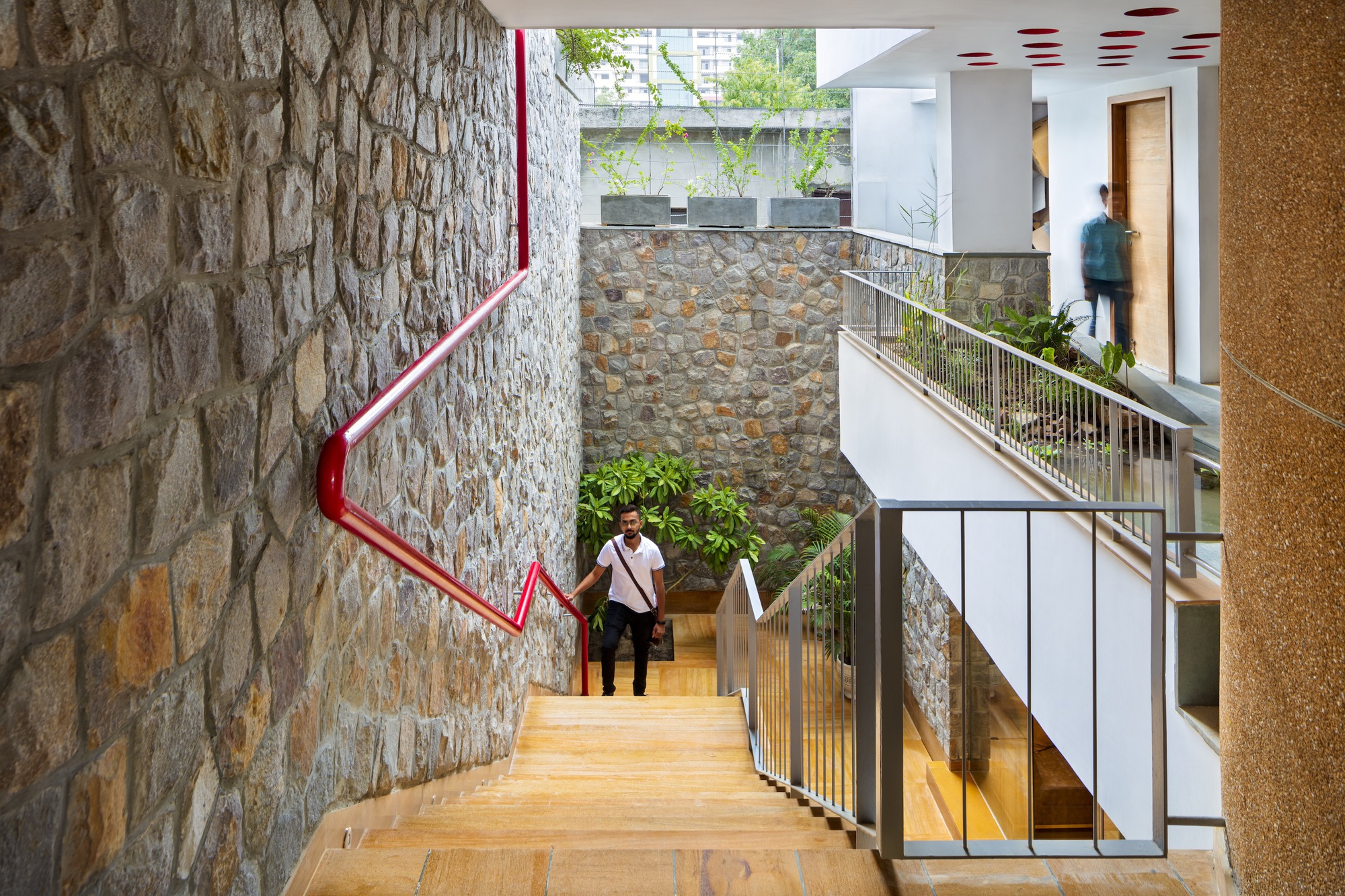 人树屋丨印度丨Archiopteryx-31